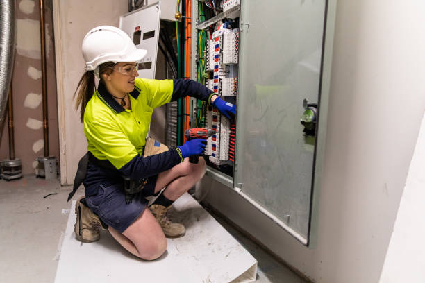 Best Electric Panel Repair  in The Pinery, CO