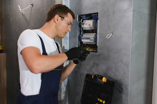 Best Electrical System Inspection  in The Pinery, CO