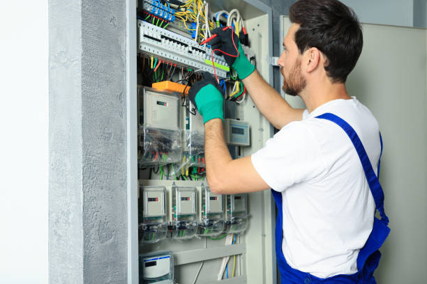 Best Electric Panel Repair  in The Pinery, CO